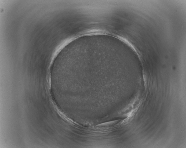 X0000078861413200611271400