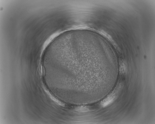 X0000078861414200611271400