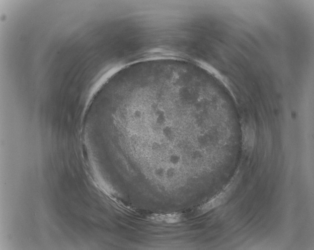 X0000078861415200611271400