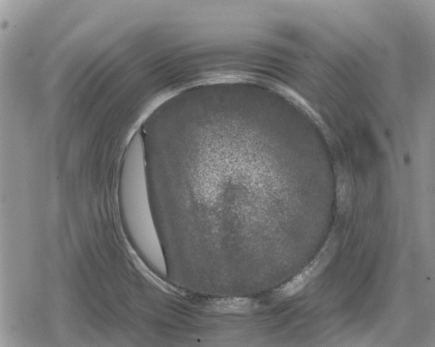 X0000078861417200611271400