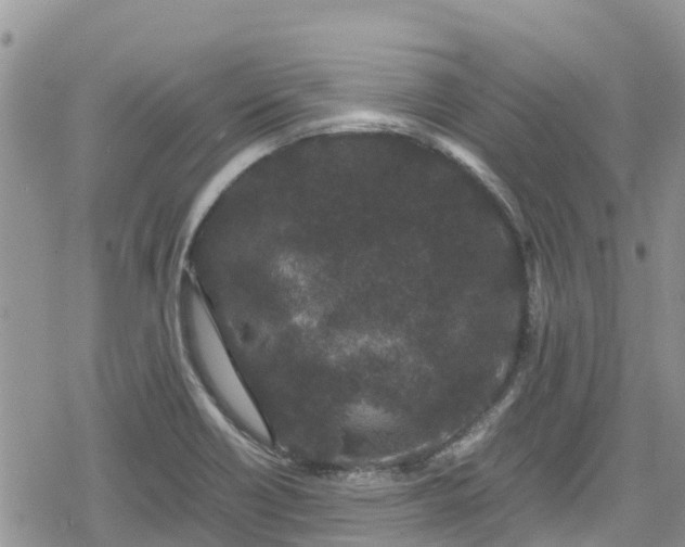 X0000078861418200611271400