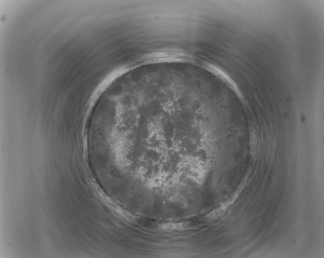 X0000078861419200611271400