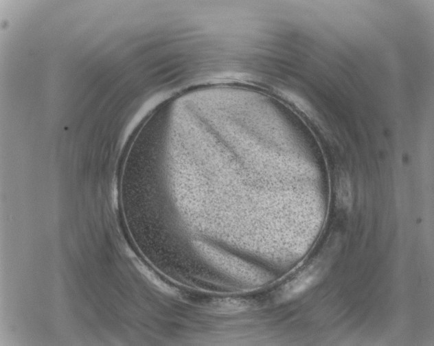 X0000078861420200611271400