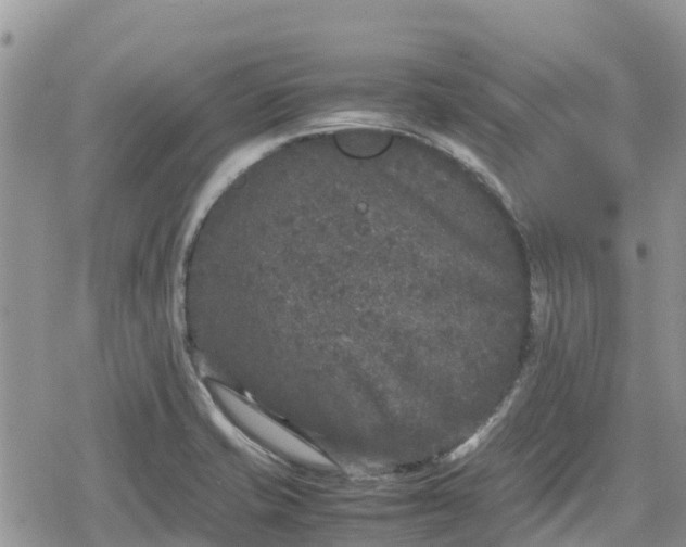 X0000078861421200611271400