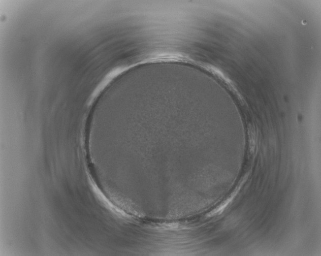 X0000078861422200611271400