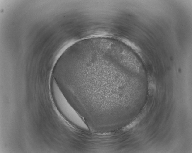 X0000078861423200611271400