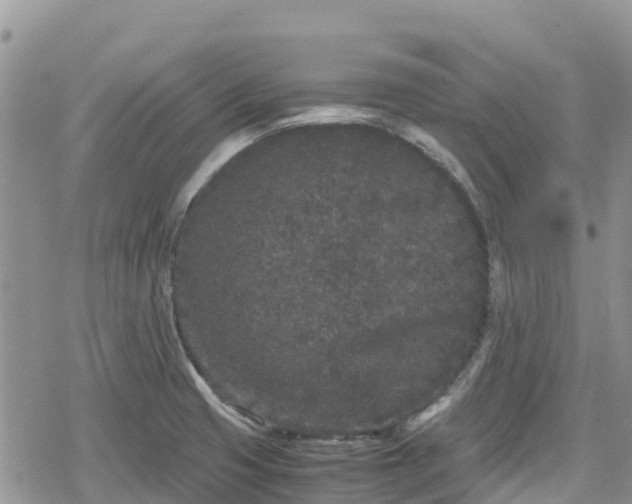 X0000078861425200611271400