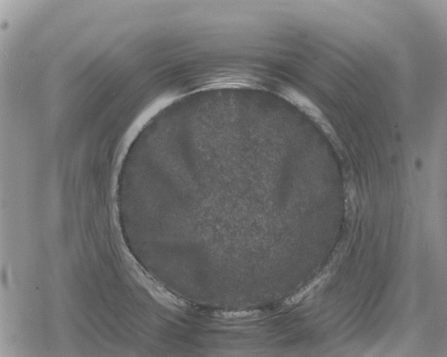 X0000078861427200611271400