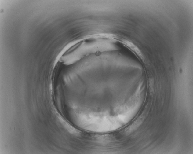 X0000078861428200611271400