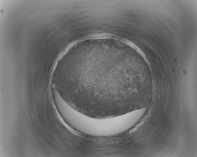 X0000078861429200611271400