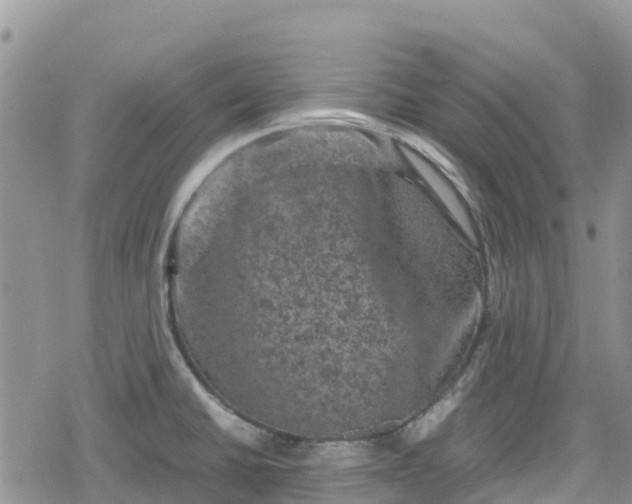 X0000078861430200611271400