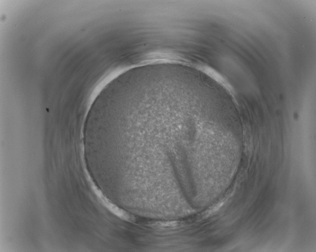 X0000078861431200611271401