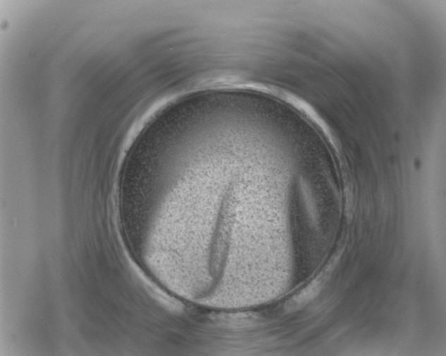 X0000078861432200611271401