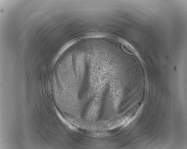 X0000078861433200611271401