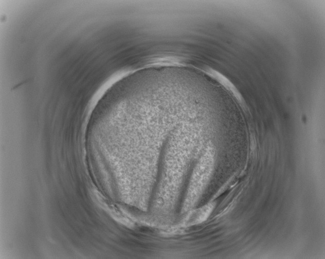 X0000078861435200611271401