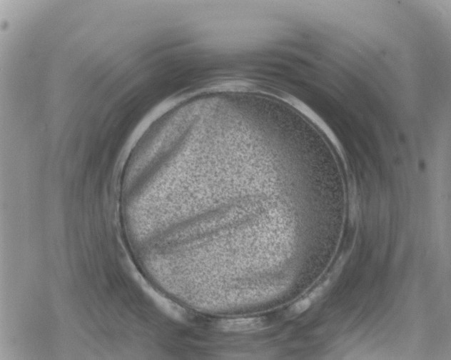 X0000078861437200611271401