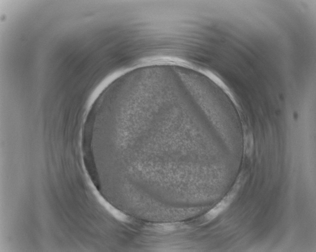 X0000078861438200611271401