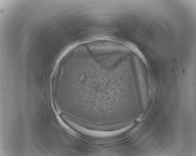 X0000078861439200611271401