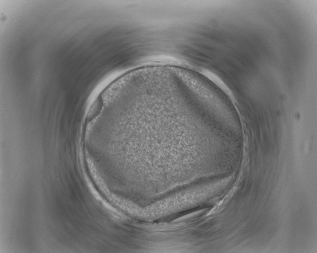 X0000078861440200611271401