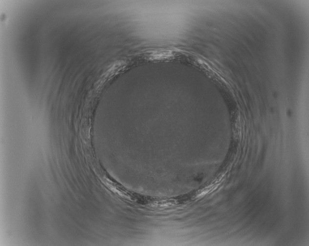 X0000078861441200611271400