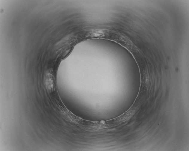 X0000078861442200611271400