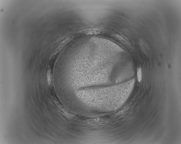 X0000078861444200611271400