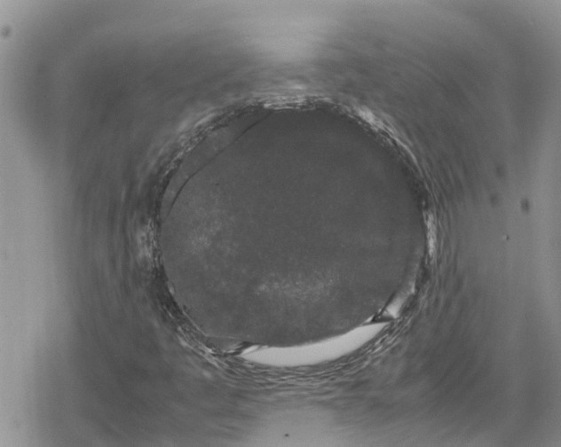 X0000078861445200611271400