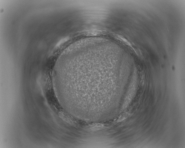 X0000078861446200611271400