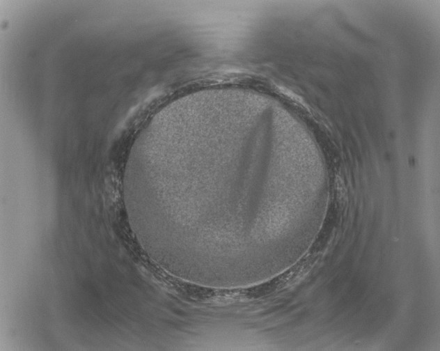 X0000078861447200611271400