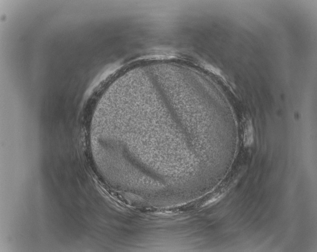 X0000078861448200611271400