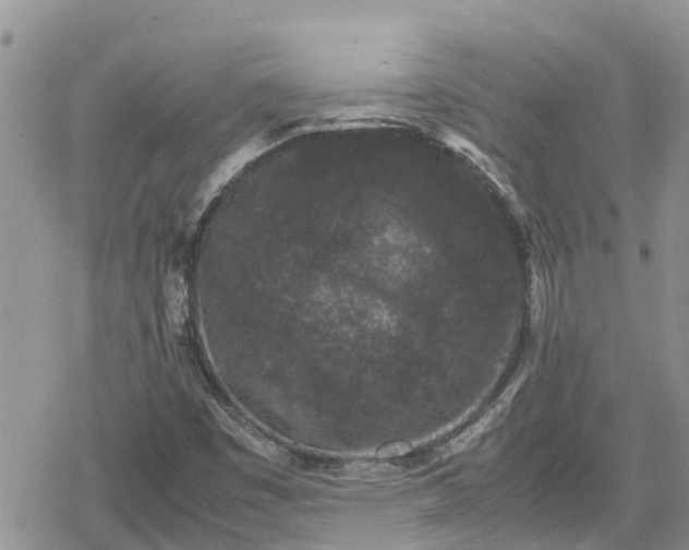 X0000078861449200611271400