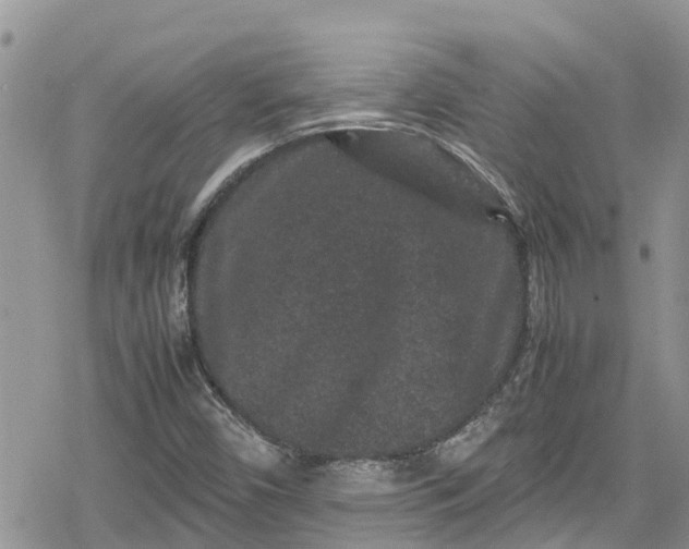 X0000078861450200611271400