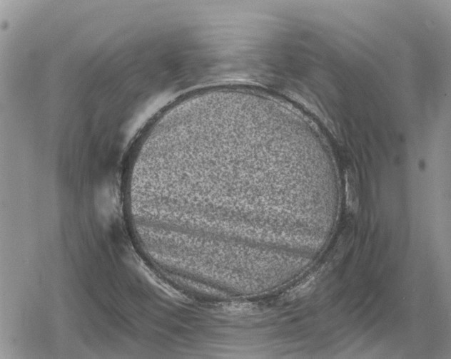 X0000078861452200611271400