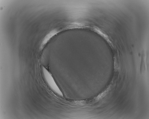 X0000078861453200611271400