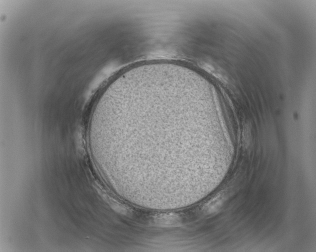 X0000078861454200611271400