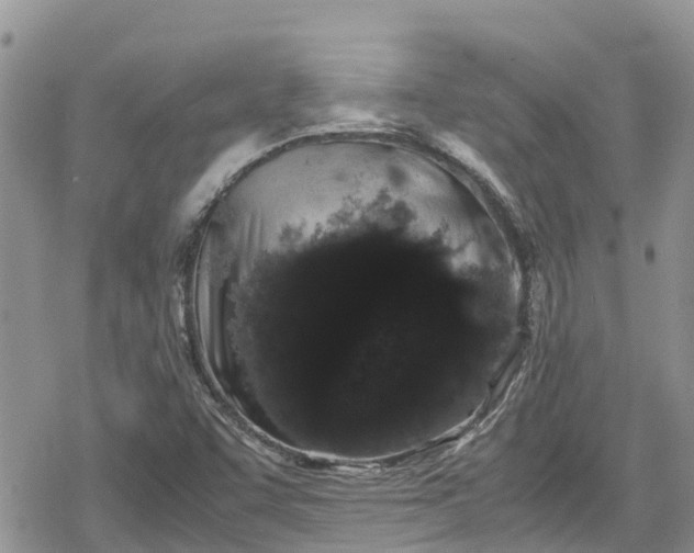 X0000078861455200611271400