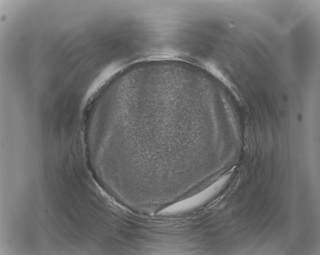 X0000078861456200611271400