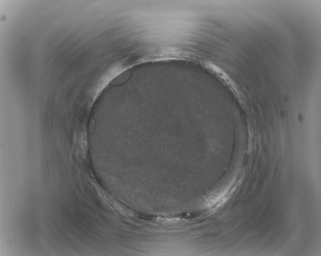 X0000078861457200611271400