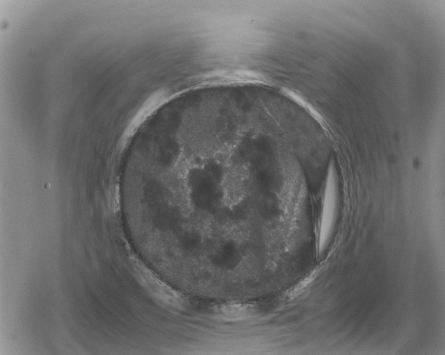 X0000078861459200611271400