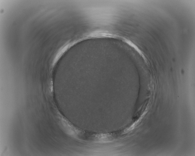 X0000078861461200611271400