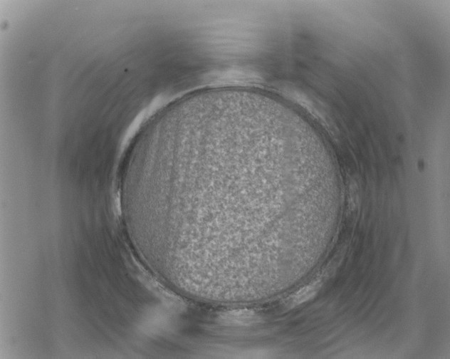 X0000078861462200611271400