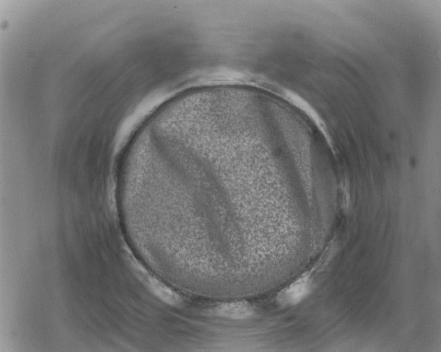 X0000078861464200611271359