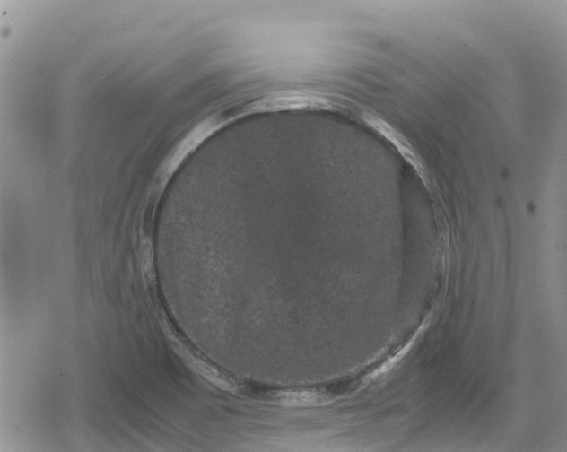 X0000078861465200611271359