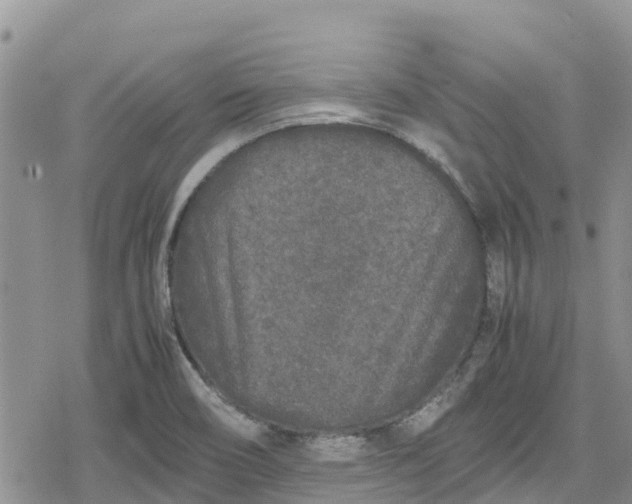 X0000078861466200611271359