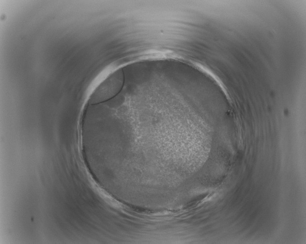 X0000078861467200611271359