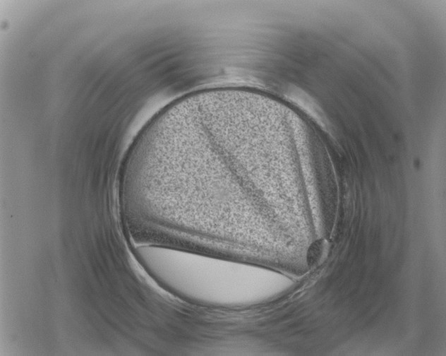 X0000078861468200611271359