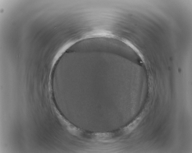 X0000078861469200611271359