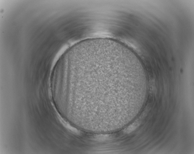 X0000078861470200611271359