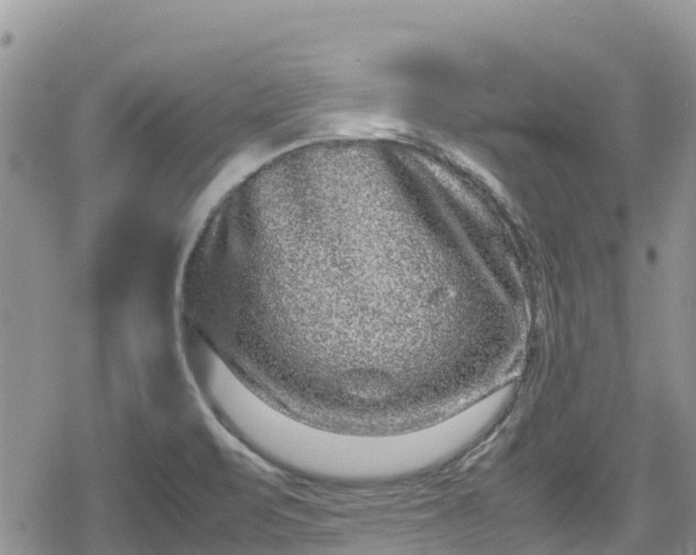 X0000078861471200611271359