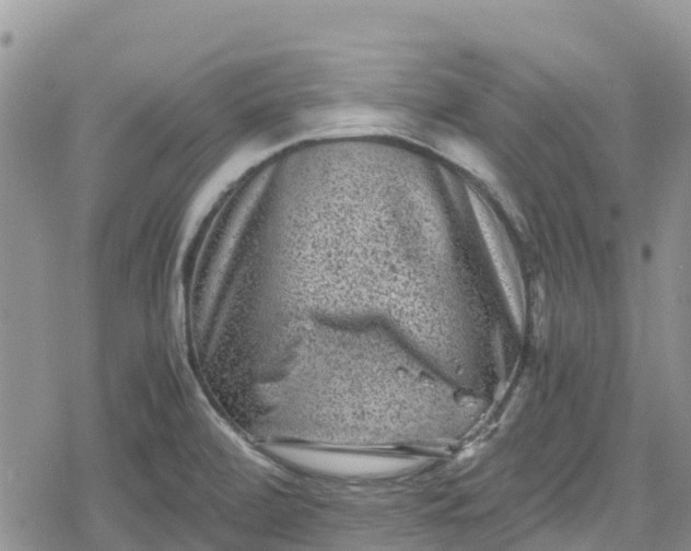 X0000078861472200611271359